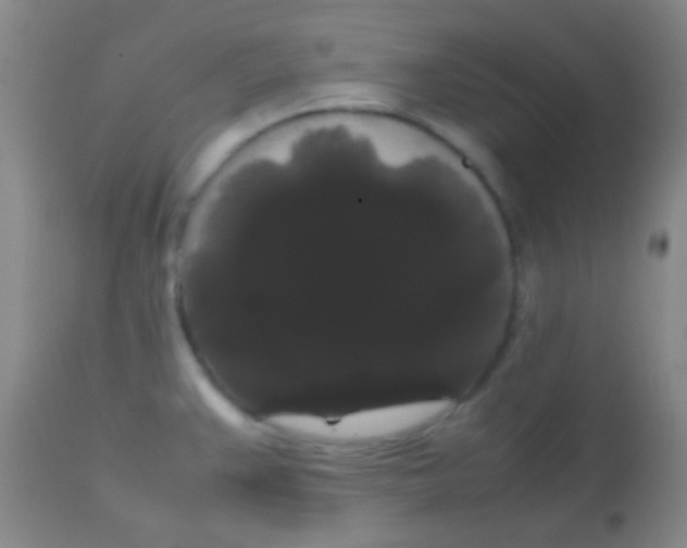 X0000113851383200910151201