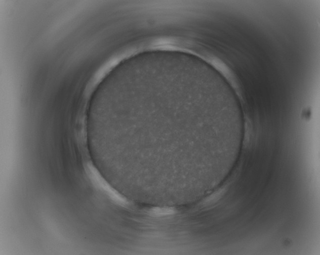 X0000113851384200910151201