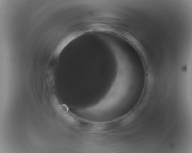 X0000113851385200910151201