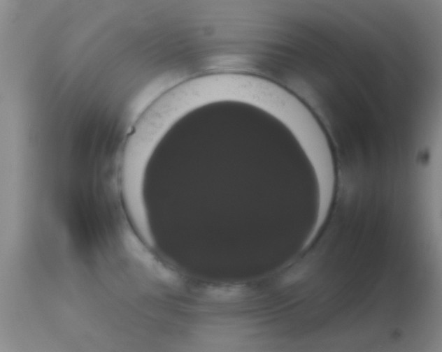 X0000113851386200910151201