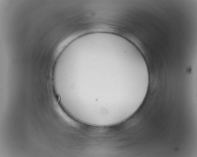 X0000113851387200910151201