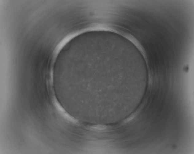 X0000113851388200910151201