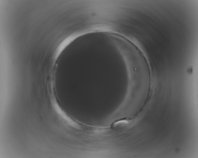 X0000113851389200910151201