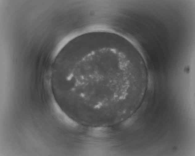 X0000113851390200910151201