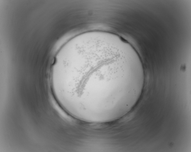 X0000113851391200910151201