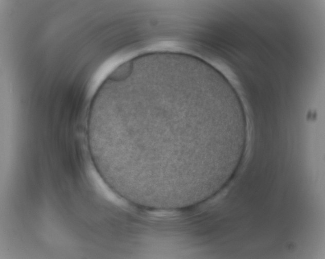 X0000113851392200910151201