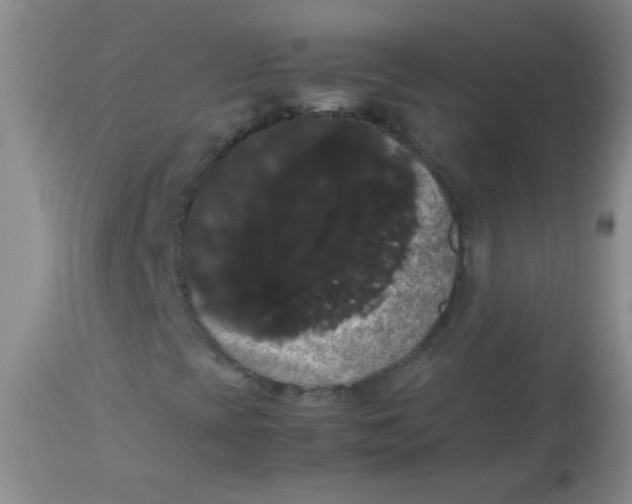 X0000113851393200910151200