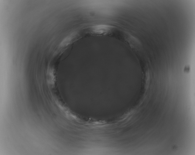 X0000113851394200910151200