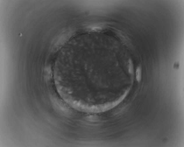 X0000113851395200910151200