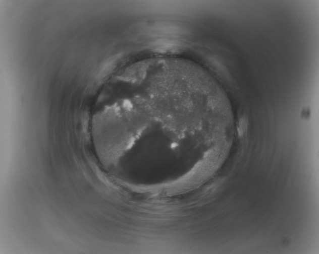 X0000113851396200910151200