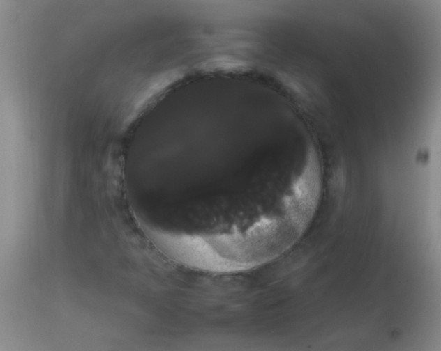 X0000113851397200910151200