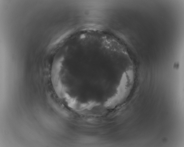 X0000113851399200910151200