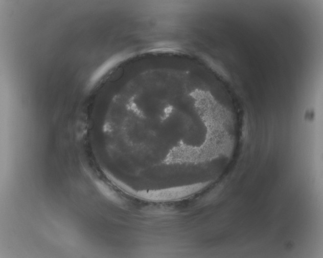 X0000113851400200910151200