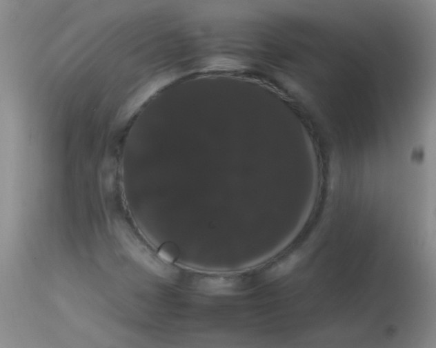 X0000113851401200910151200