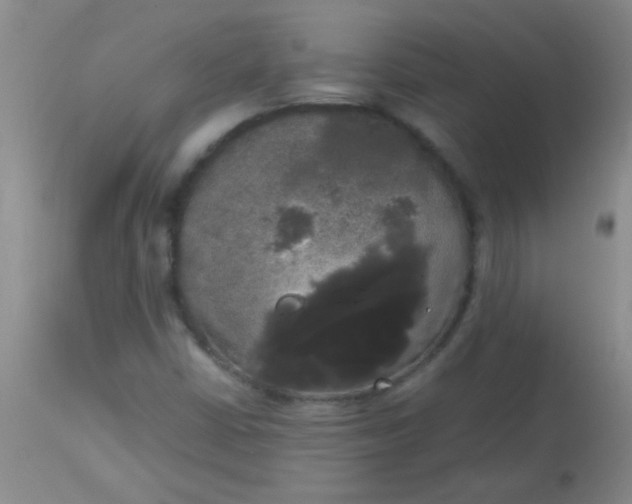 X0000113851402200910151200