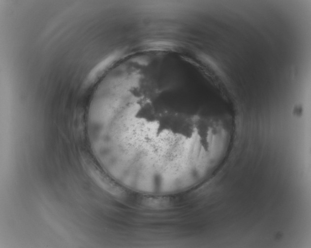 X0000113851403200910151200