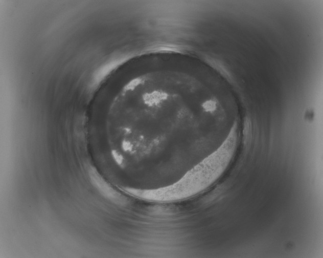 X0000113851404200910151200