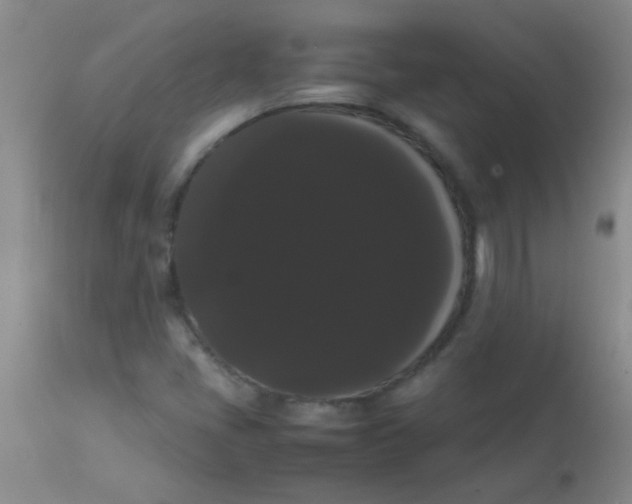 X0000113851405200910151200