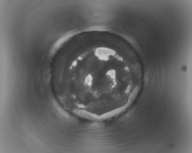 X0000113851406200910151200