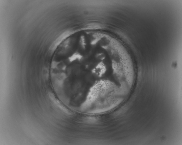 X0000113851409200910151200