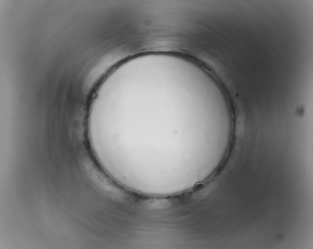 X0000113851410200910151200