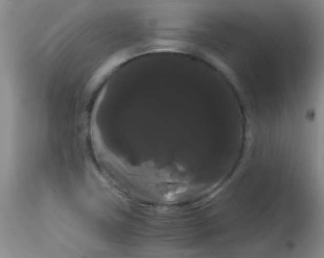 X0000113851411200910151200