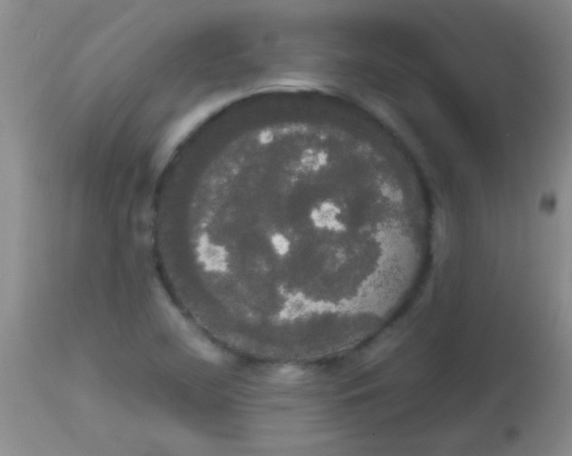 X0000113851412200910151200