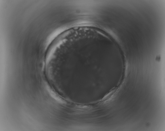 X0000113851413200910151200