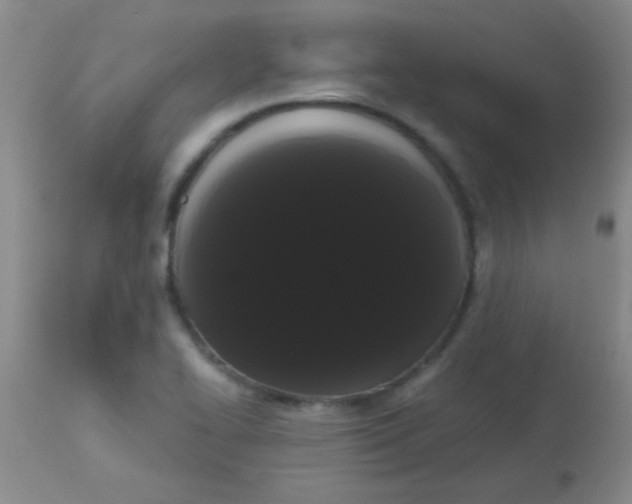 X0000113851414200910151200