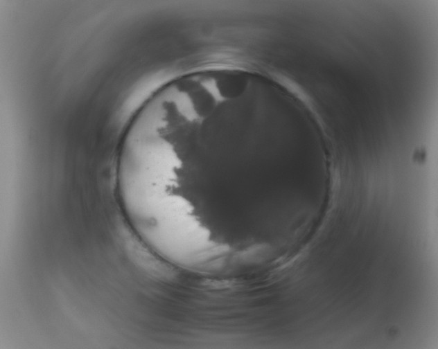 X0000113851415200910151200