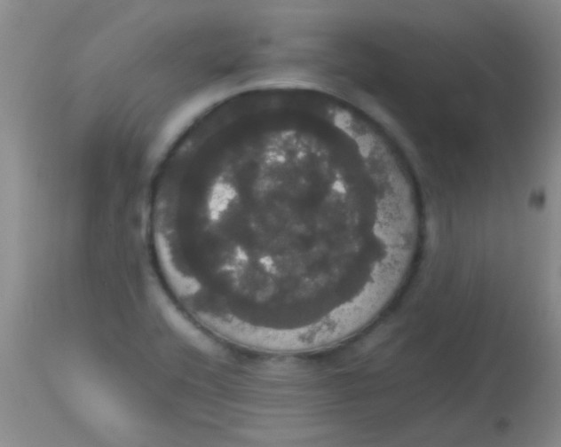 X0000113851416200910151200