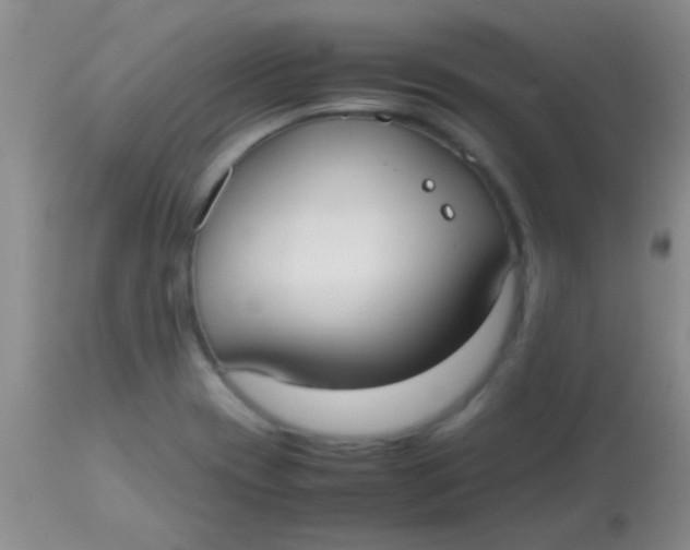 X0000113851417200910151201