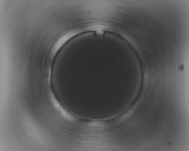 X0000113851418200910151201