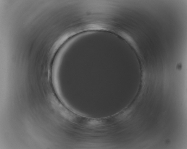 X0000113851419200910151201