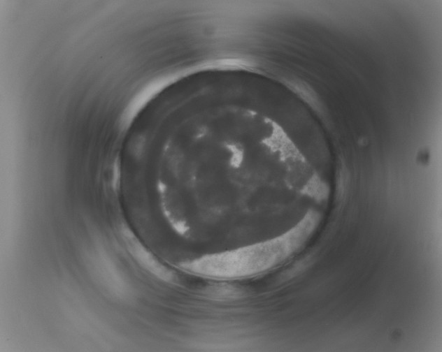 X0000113851420200910151201