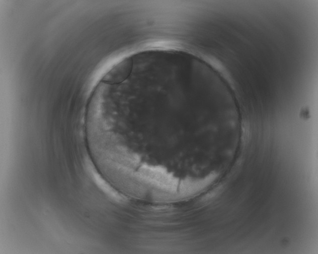 X0000113851421200910151201