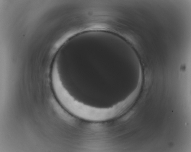 X0000113851422200910151201