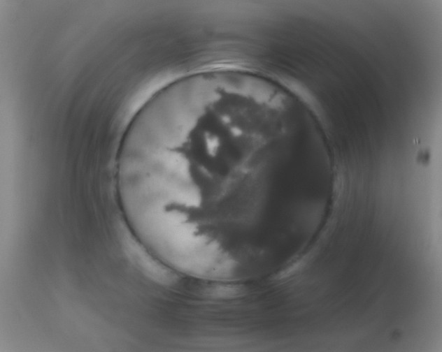 X0000113851423200910151201