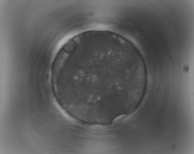 X0000113851424200910151201