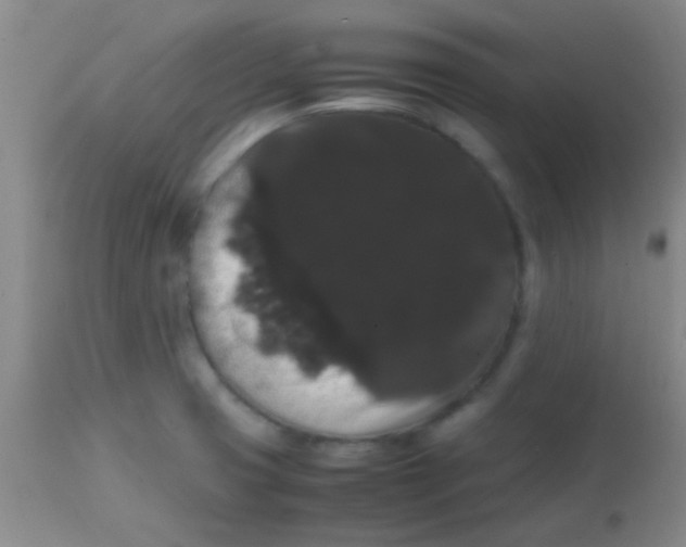 X0000113851425200910151201