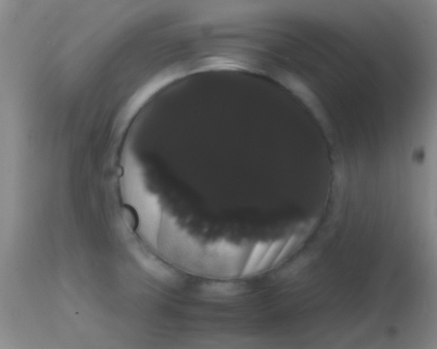 X0000113851427200910151201