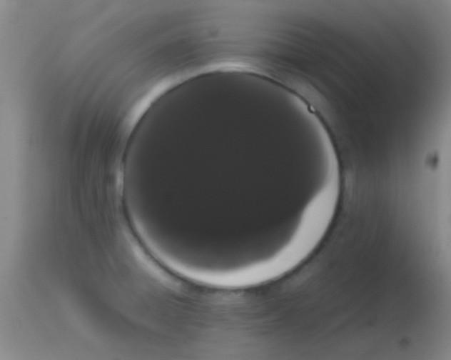 X0000113851428200910151201