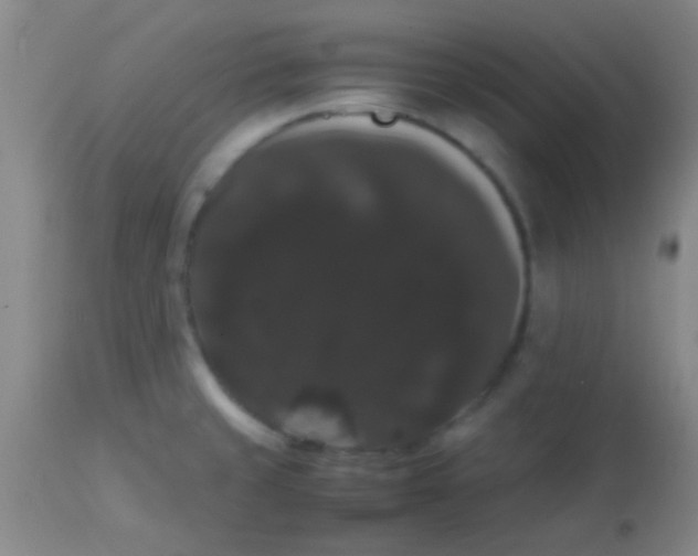 X0000113851429200910151201