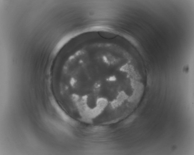 X0000113851430200910151201