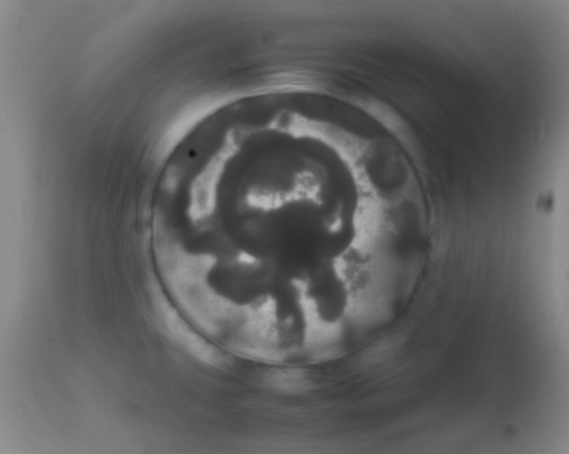 X0000113851431200910151201