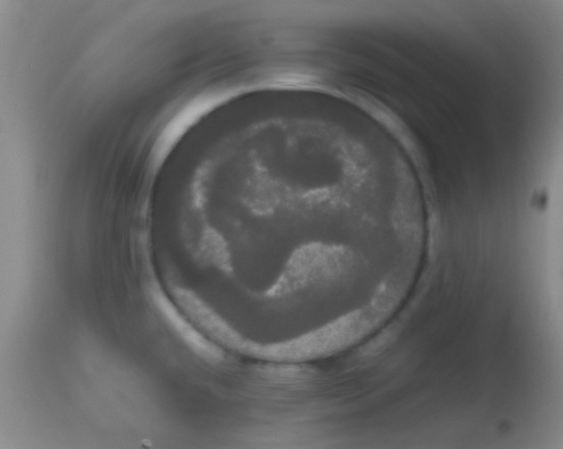 X0000113851432200910151201