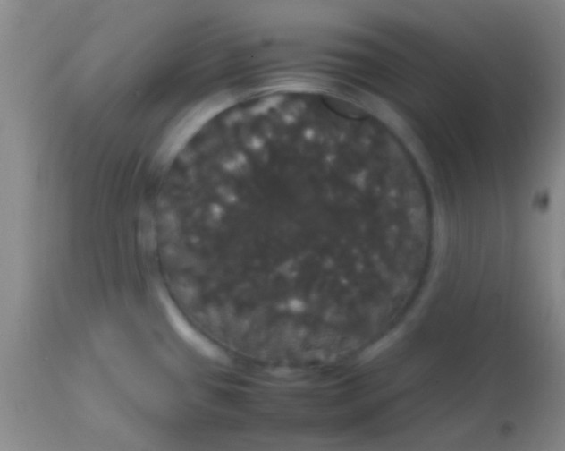 X0000113851433200910151201