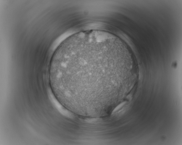 X0000113851434200910151201