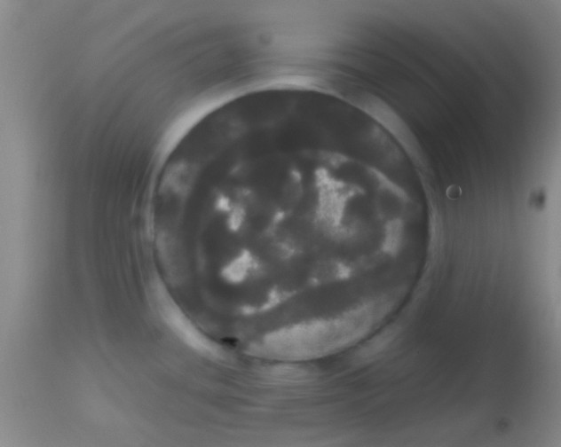 X0000113851436200910151201