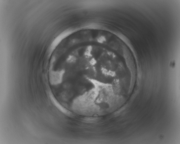 X0000113851437200910151201